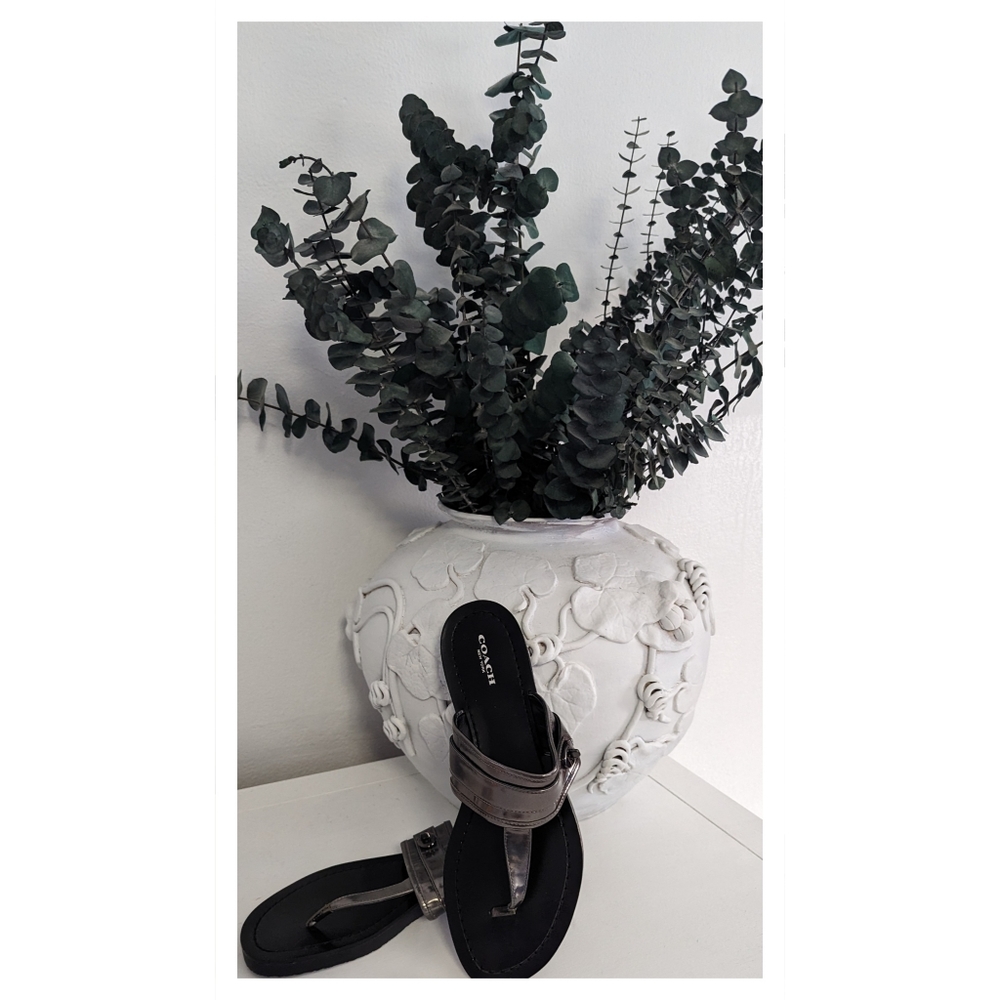 NWOT Coach Sandals